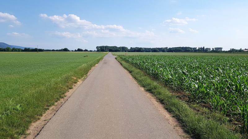 20180604_172429 20180604_172429