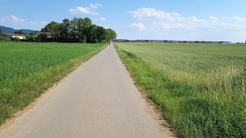 20180604_173031 20180604_173031