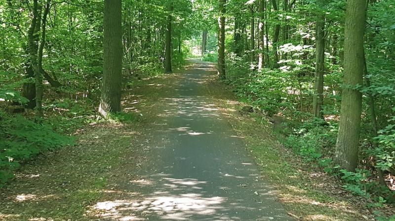 20180606_172352 20180606_172352