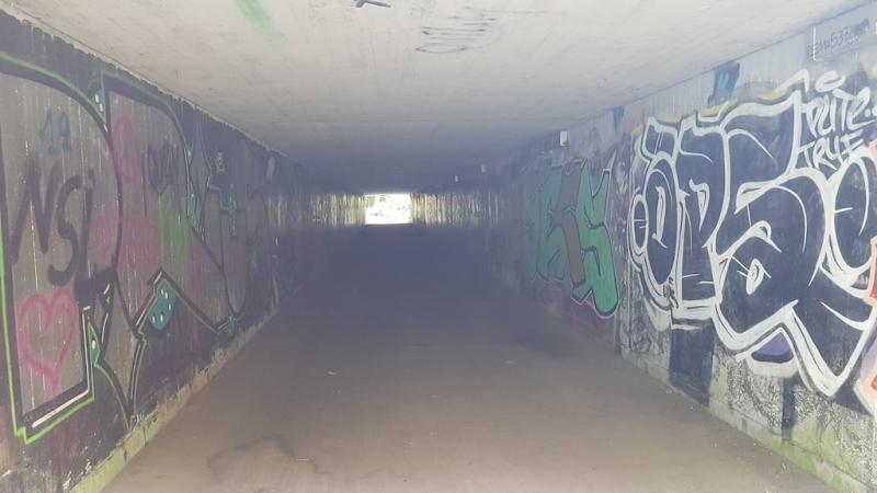 20180606_173125 20180606_173125