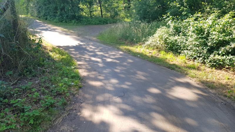 20180606_173128 20180606_173128