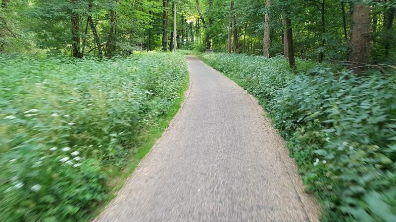 20180606_194524 20180606_194524