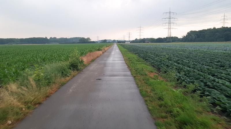 20180609_204600 20180609_204600