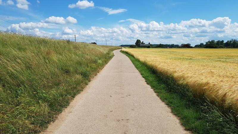 20190615_153352 20190615_153352