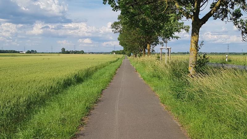 20190615_173619 20190615_173619