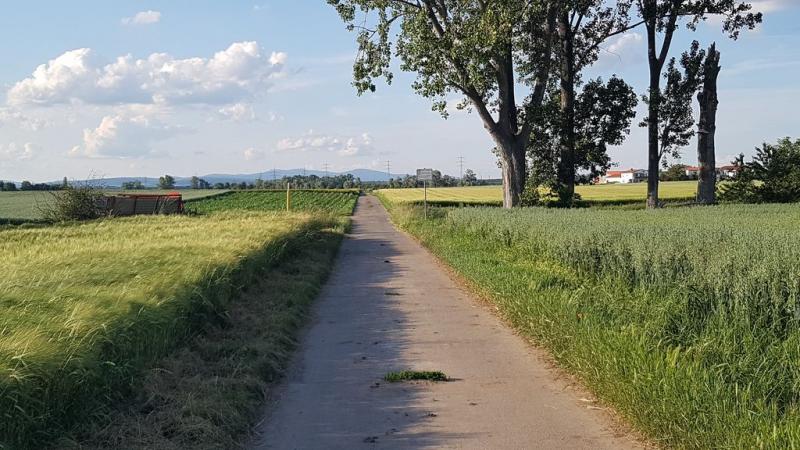 20190615_192423 20190615_192423
