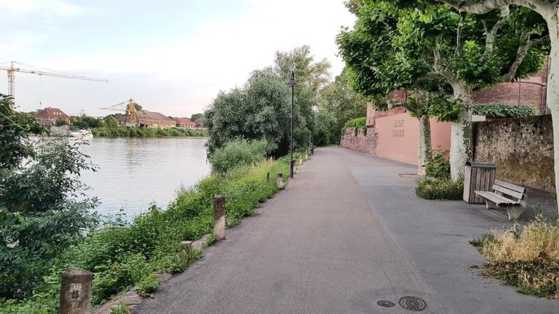 20190618_201425 20190618_201425