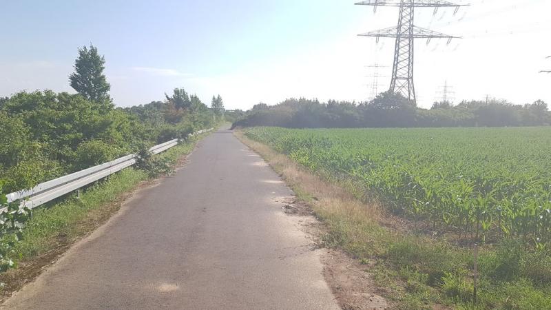 20190619_175533 20190619_175533