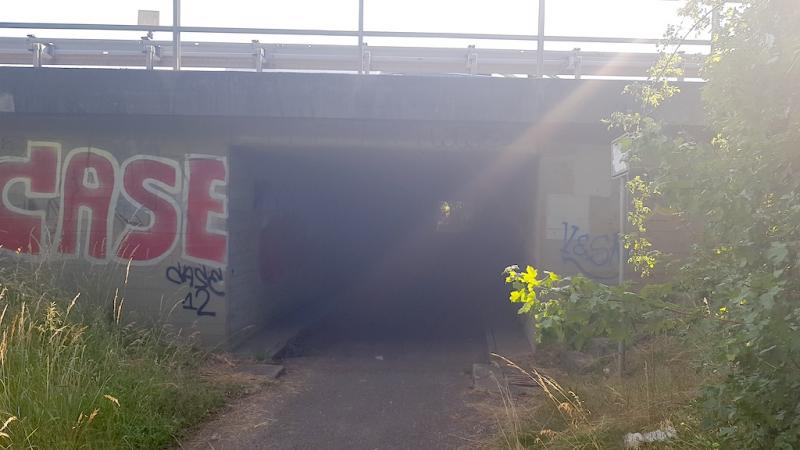 20190619_182543 20190619_182543