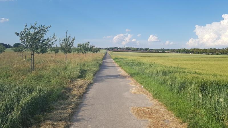 20190619_185515 20190619_185515