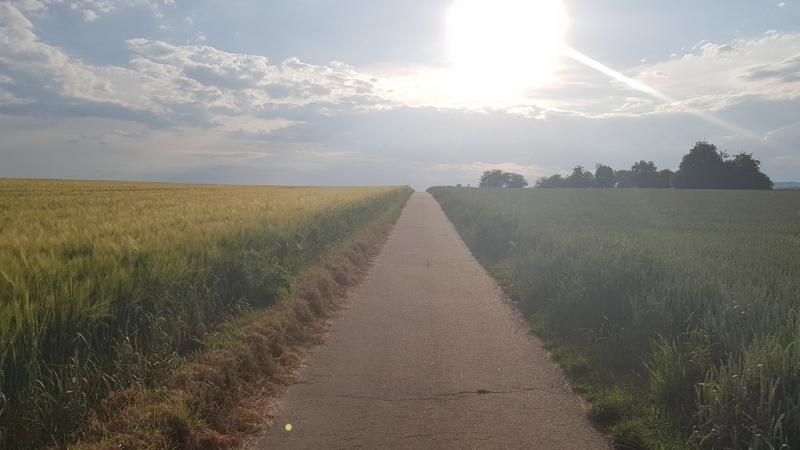 20190619_193600 20190619_193600