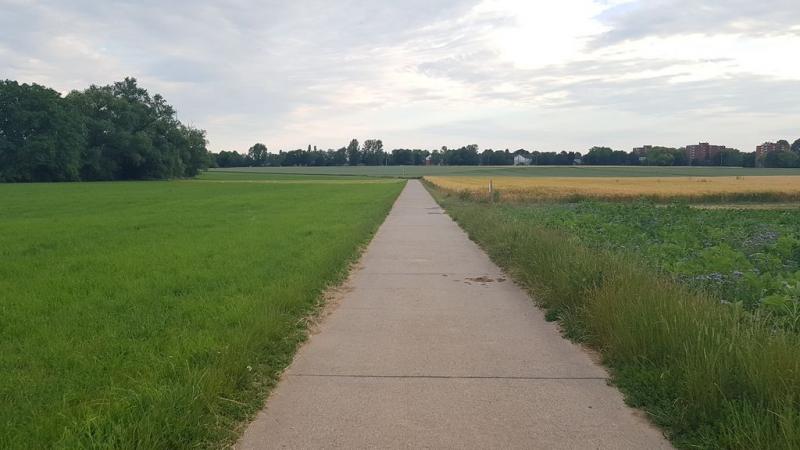 20190619_200921 20190619_200921