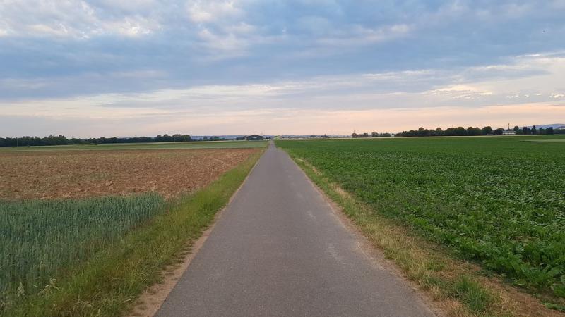 20190619_203705 20190619_203705
