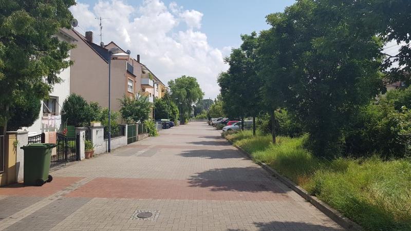 20190621_143732 20190621_143732