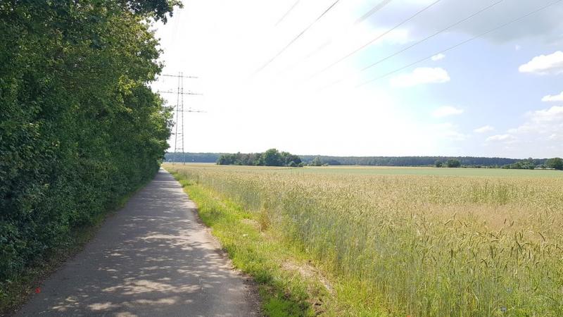 20190621_154317 20190621_154317