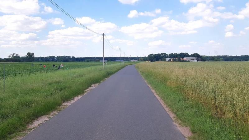 20190621_163844 20190621_163844