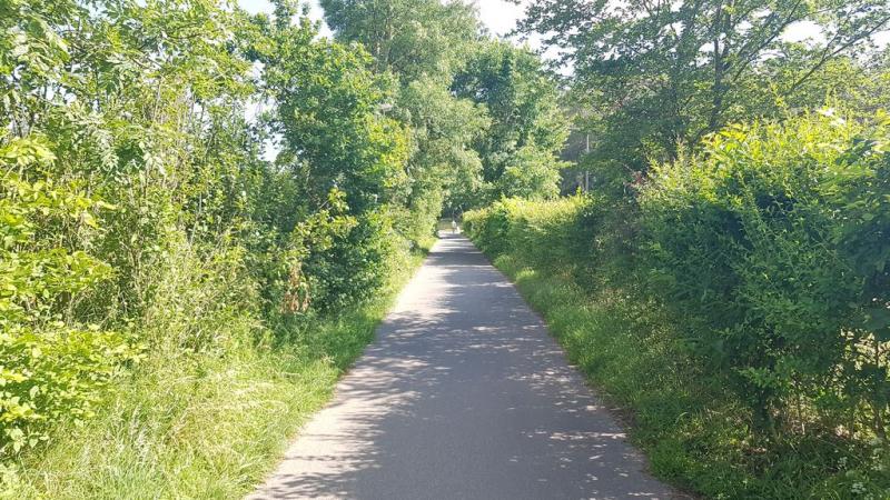 20190621_171723 20190621_171723