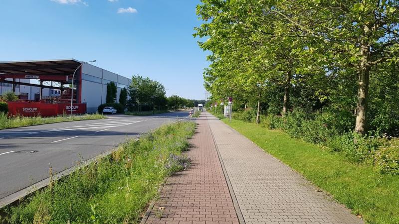 20190621_183121 20190621_183121