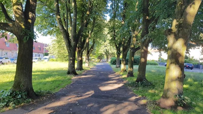 20190621_191538 20190621_191538