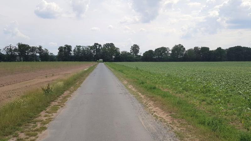 20190622_151749 20190622_151749