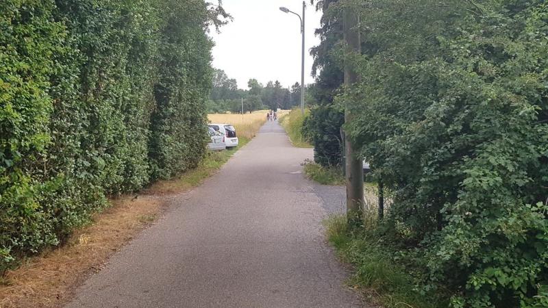 20190623_150534 20190623_150534