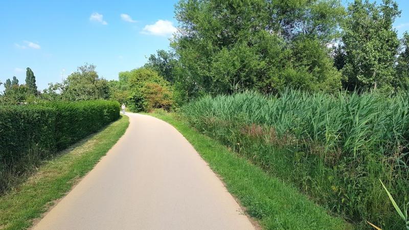 20190623_165329 20190623_165329