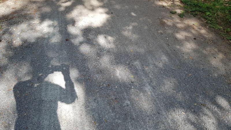 20190702_170658 20190702_170658