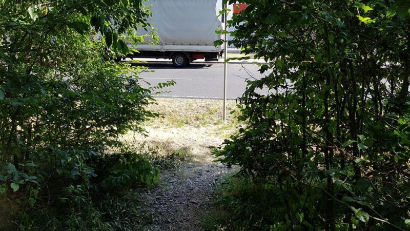 20190702_172849 20190702_172849
