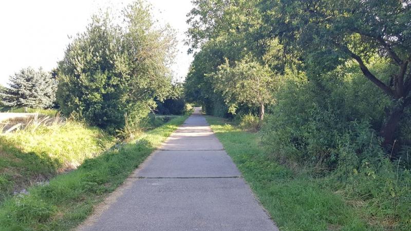 20190705_184836 20190705_184836