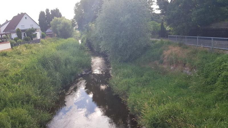 20190705_193303 20190705_193303