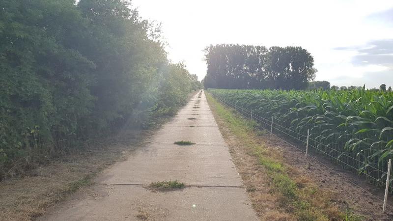 20190705_194545 20190705_194545
