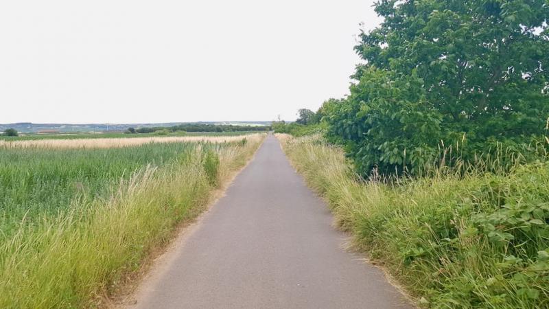 20190706_170432 20190706_170432
