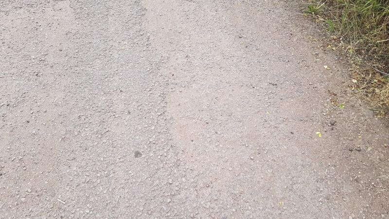 20190706_170552 20190706_170552