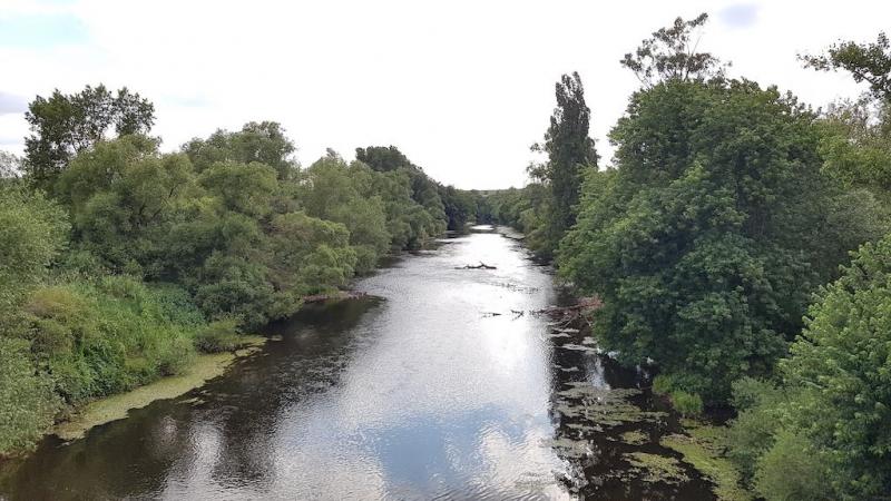 20190706_174250 20190706_174250