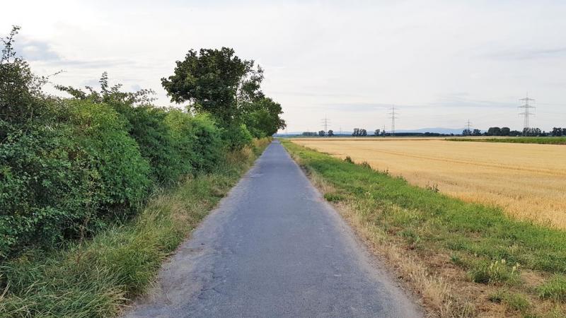 20190708_194422 20190708_194422