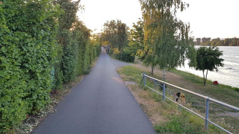 20190708_210226 20190708_210226