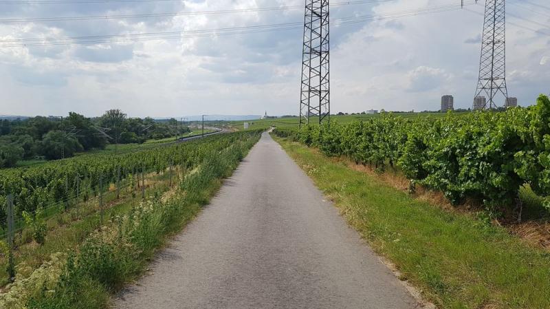 20190720_162826 20190720_162826