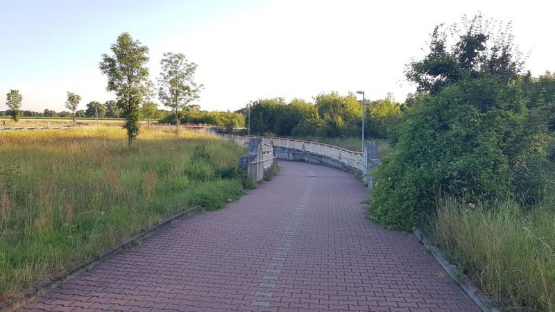 20190722_195148 20190722_195148