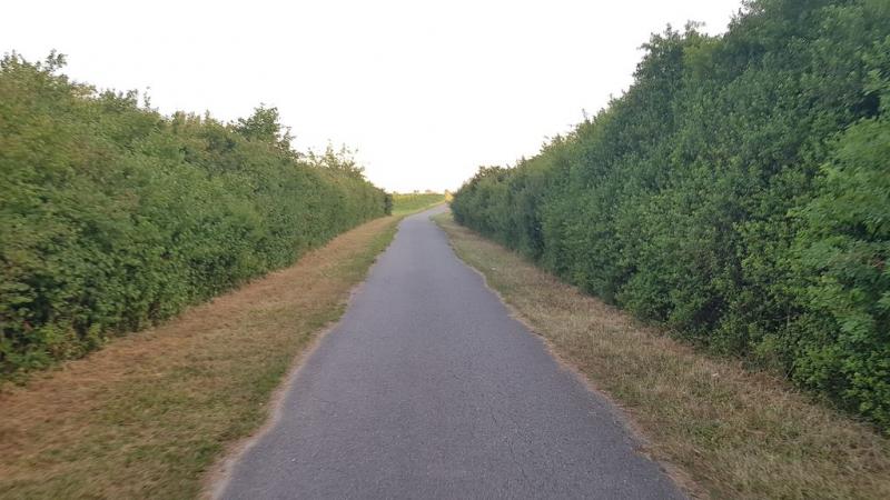 20190722_204601 20190722_204601