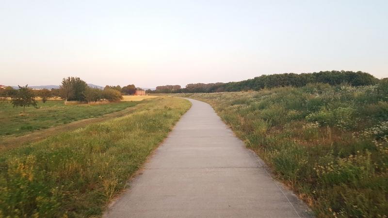 20190722_211109 20190722_211109
