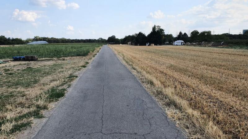20190730_171753 20190730_171753