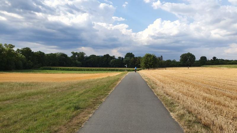 20190730_180235 20190730_180235