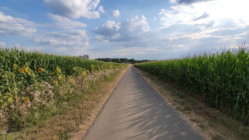 20190730_182411 20190730_182411