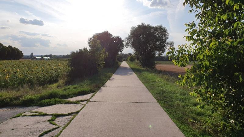 20190808_190130 20190808_190130